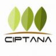 PT. Cipta Wijaya Mandiri